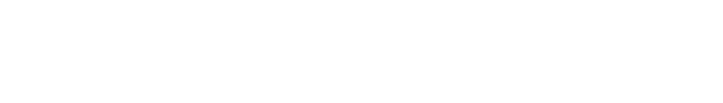 Whanganui Tech Network Logo